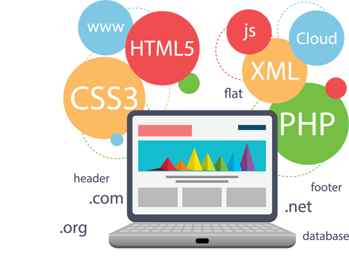 Web Yazılım